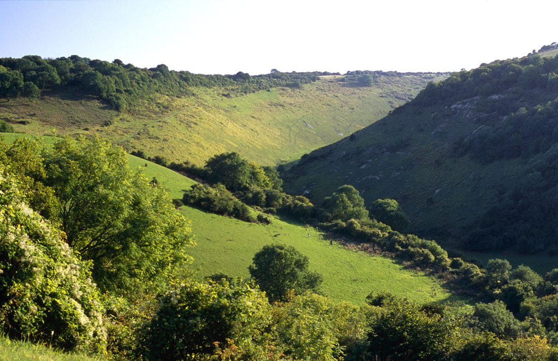 View from Devil's Dyke