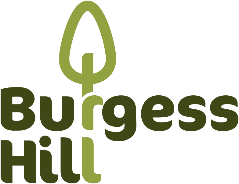 Burgess Hill Logo