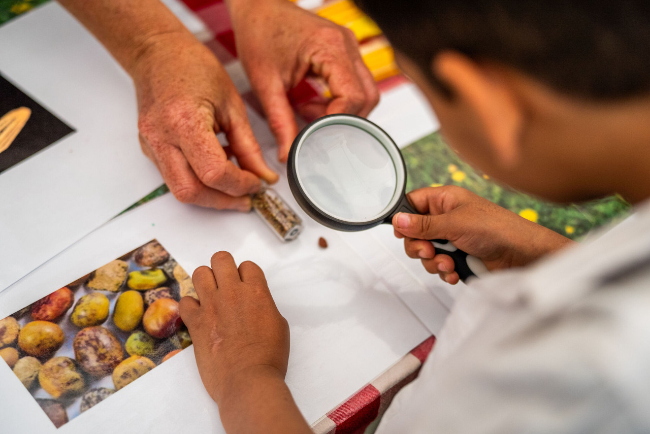 Wakehurst-Community-Festival-Visual-Air-C-RBG-Kew