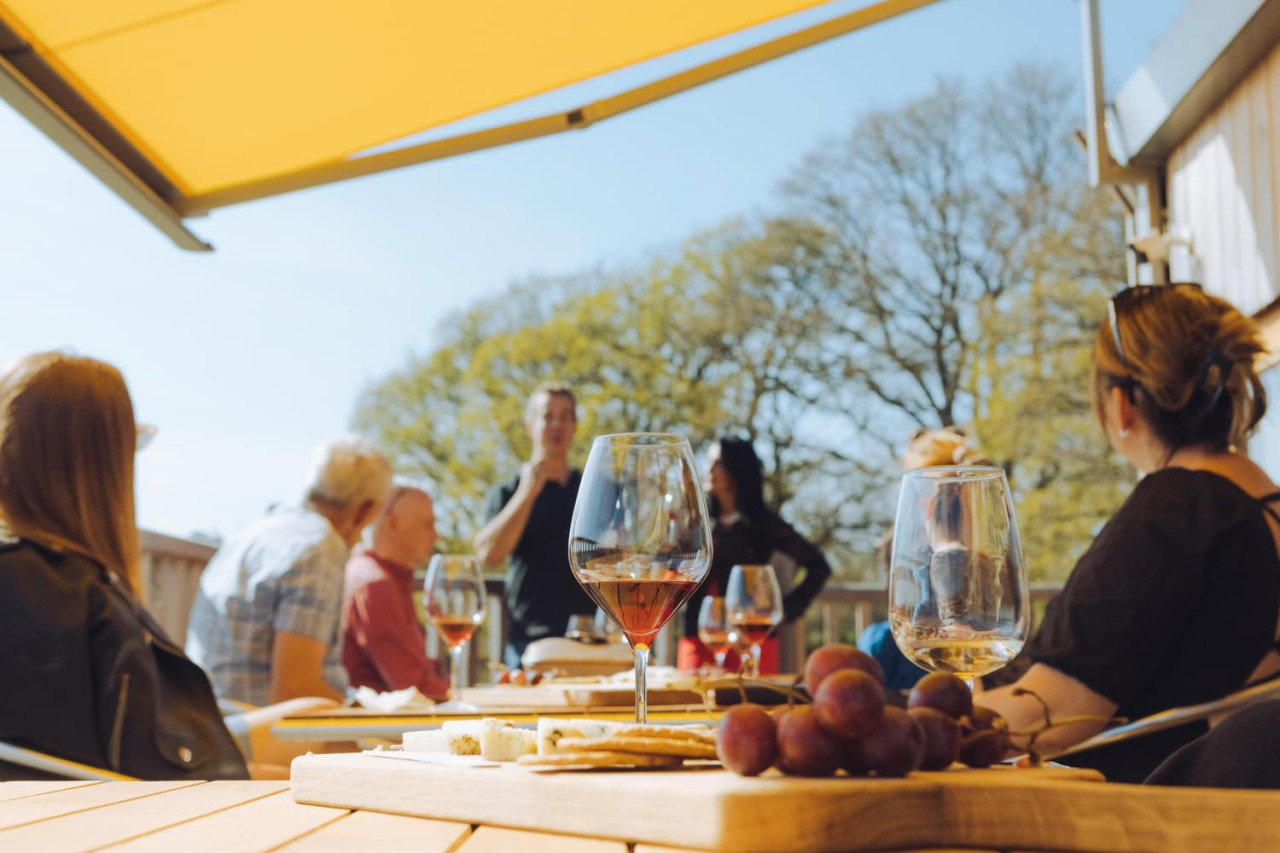 Sussex Wine Tourism - OMS